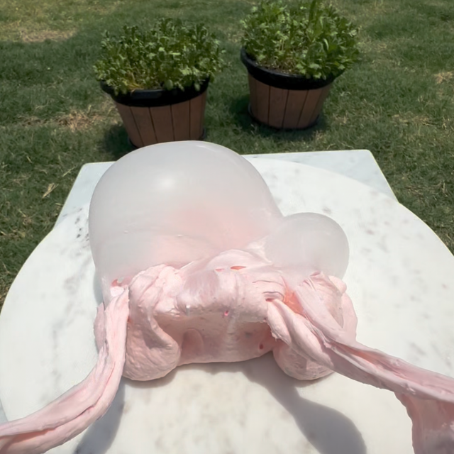 Donut Ever Give Up DIY Slime Kit