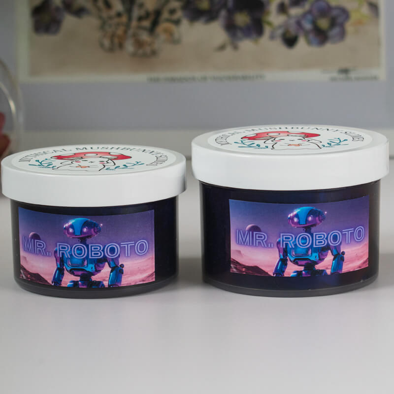 Mr. Roboto Slime