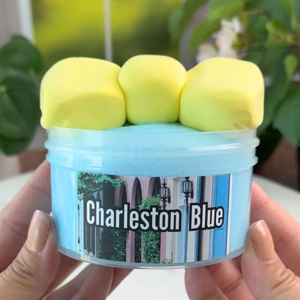 Charleston Blue DIY Slime Kit - Mythical Mushbunny Slimes