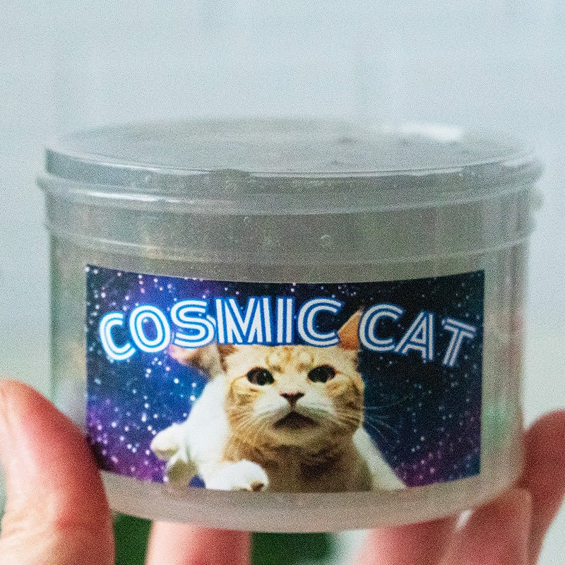 Cosmic Cat - Mythical Mushbunny Slimes