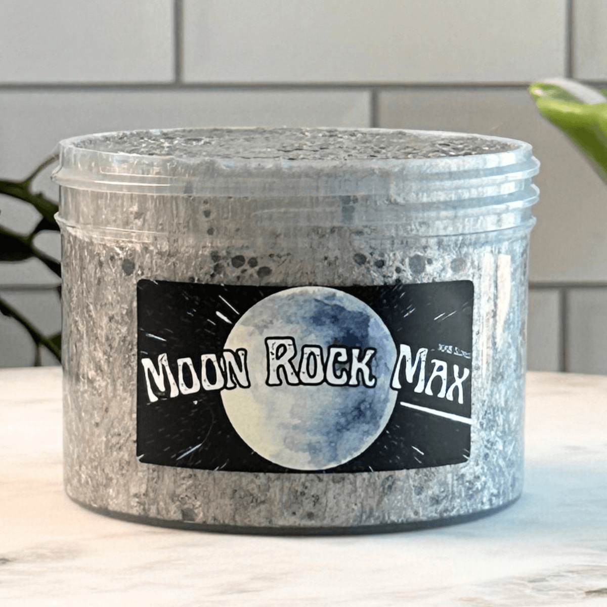 (New) Moon Rock Max - Mythical Mushbunny Slimes
