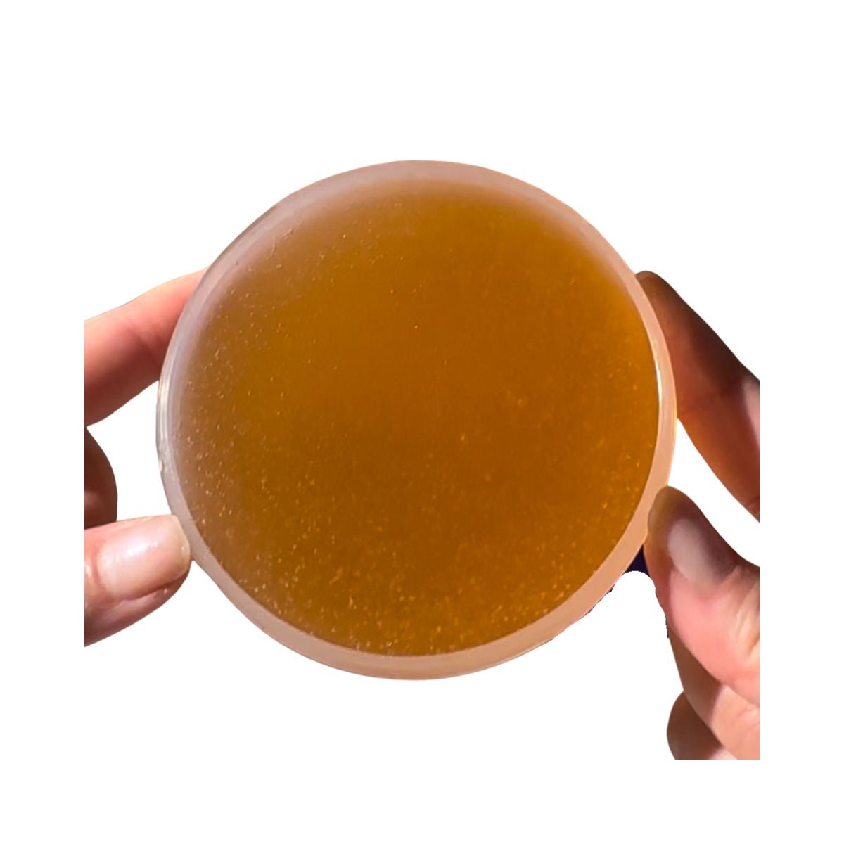 Slimettol - Mythical Mushbunny Slimes