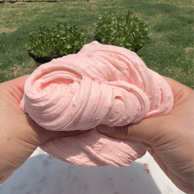 Strawberry Spongecake DIY Slime Kit - Mythical Mushbunny Slimes