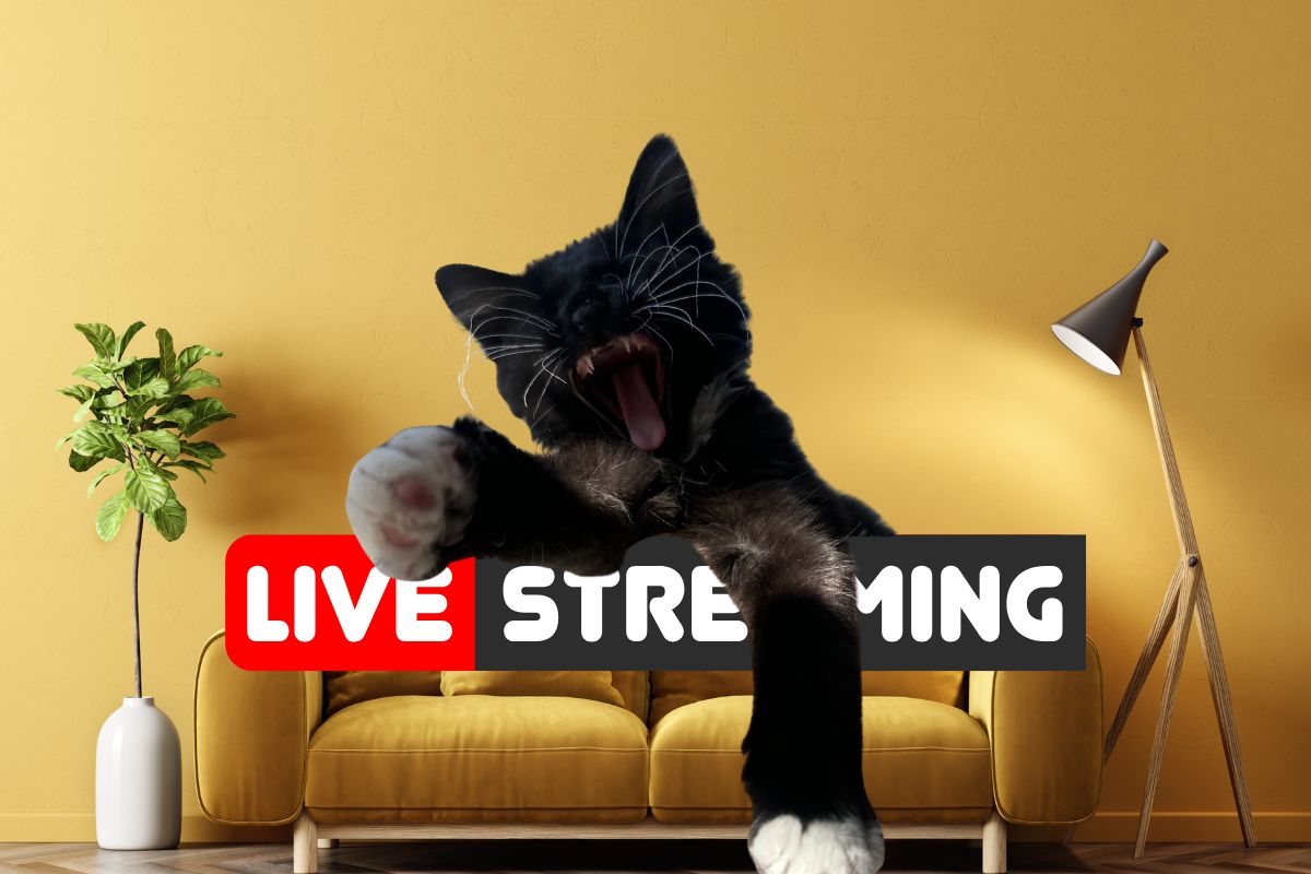 Thursdays = Chaos & Slime: Go Live With Us at 8PM CT - Mythical Mushbunny Slimes