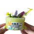 404 Photosynthesis Not Found Clear Slime - Mythical Mushbunny Slimes