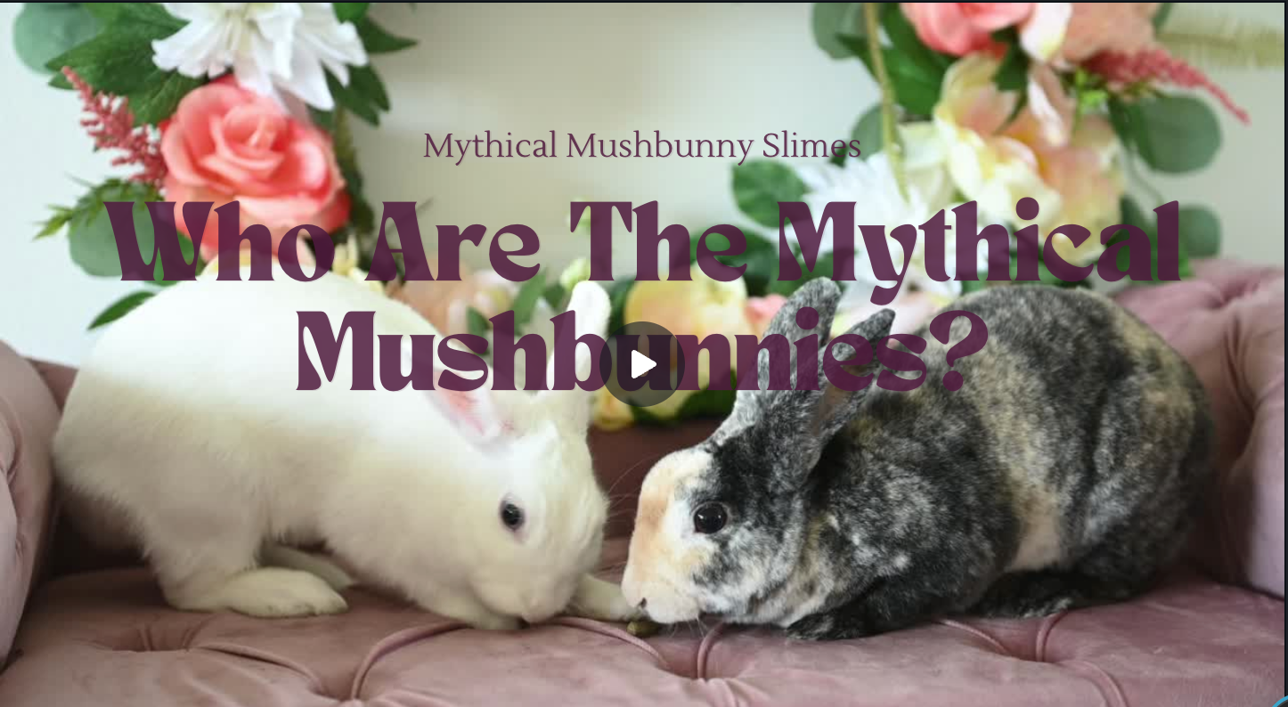 Load video: Who Are The Mythical Mushbunnies?