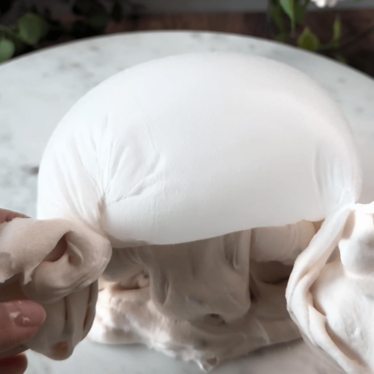 Capybara Cafe Latte DIY Slime Kit - Mythical Mushbunny Slimes