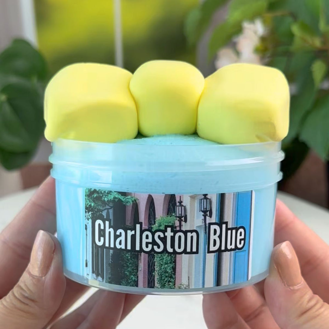 Charleston Blue DIY Slime Kit - Mythical Mushbunny Slimes