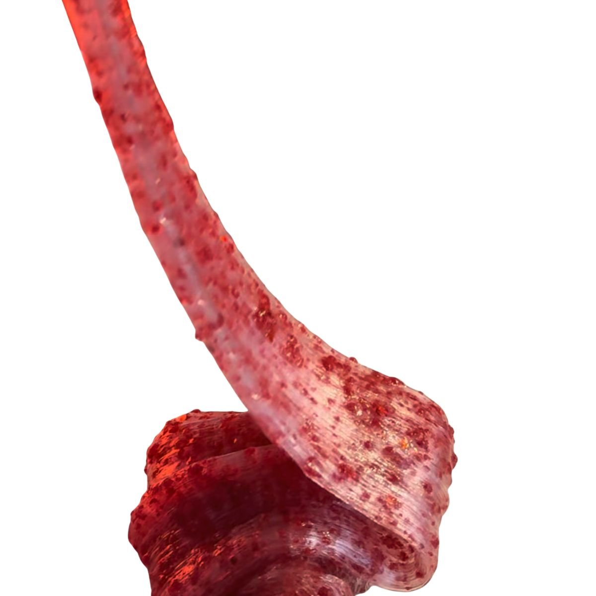 Fire Mane Spirit - Mythical Mushbunny Slimes