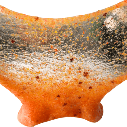 Not Falling For It | Jelly Slime - Mythical Mushbunny Slimes