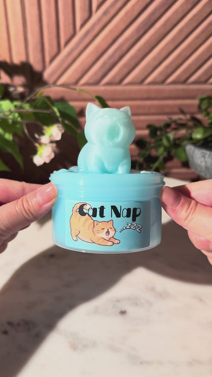 Cat Nap