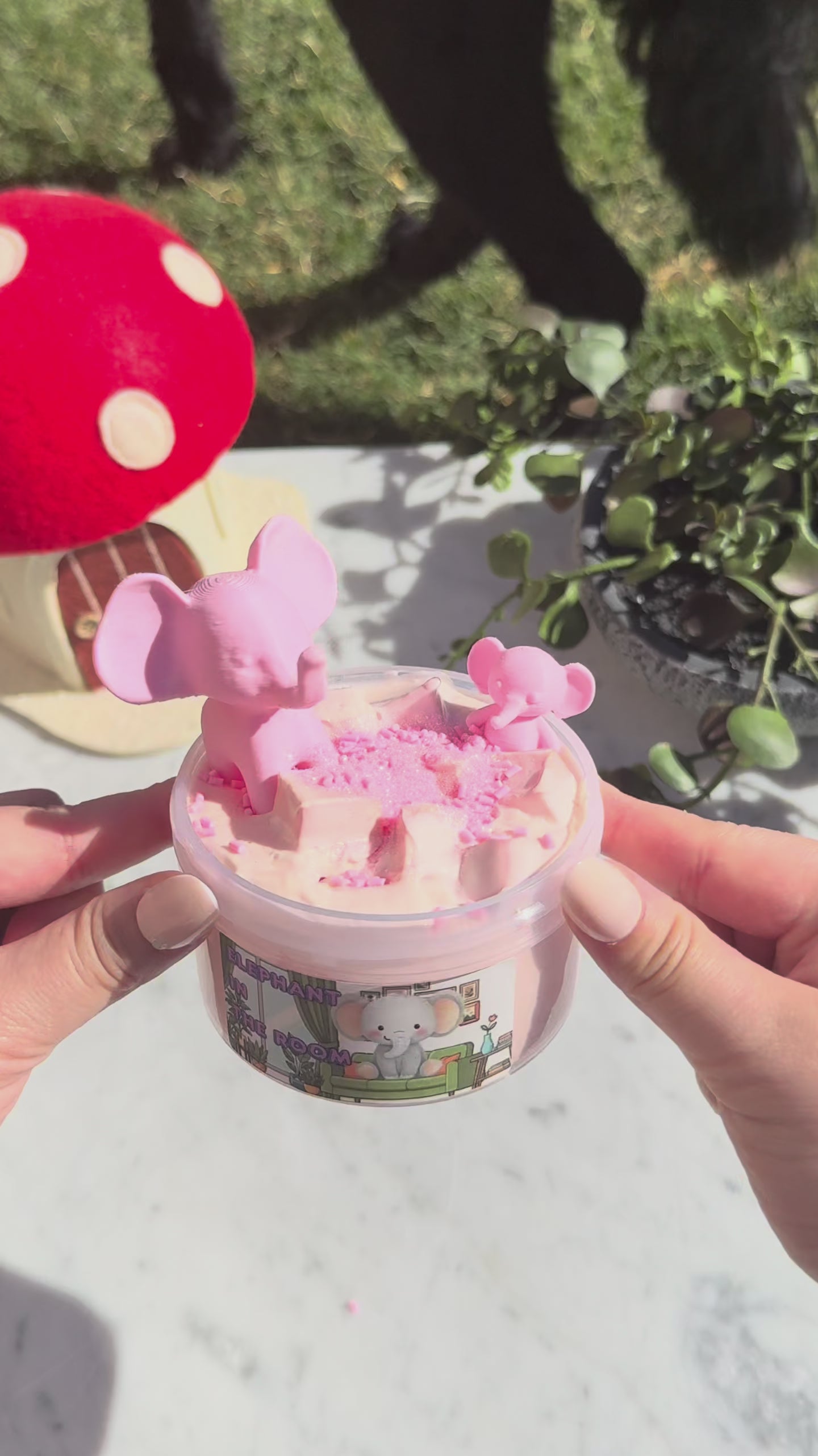 Elephant In The Room Slime