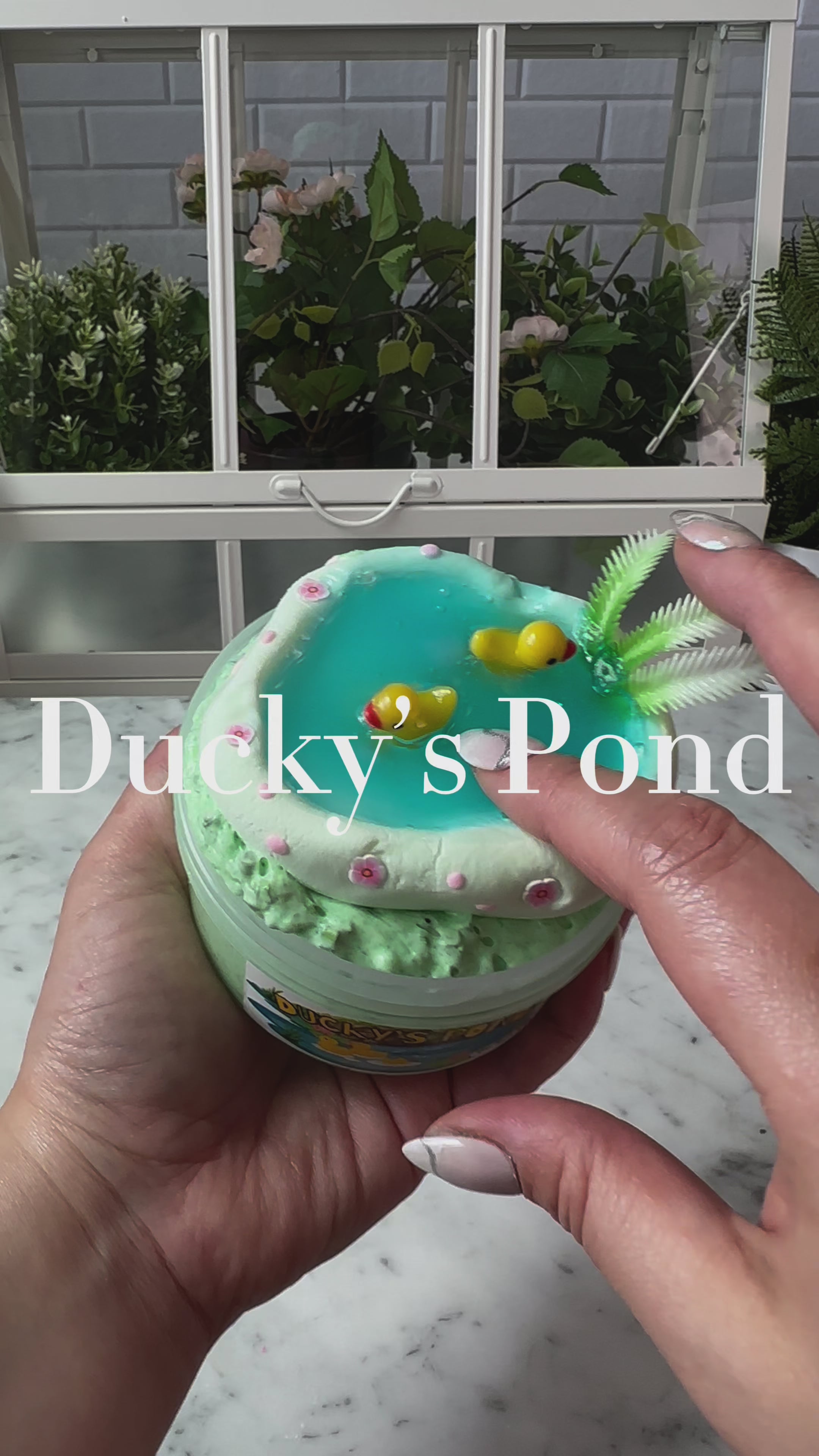 Ducky‘s Pond