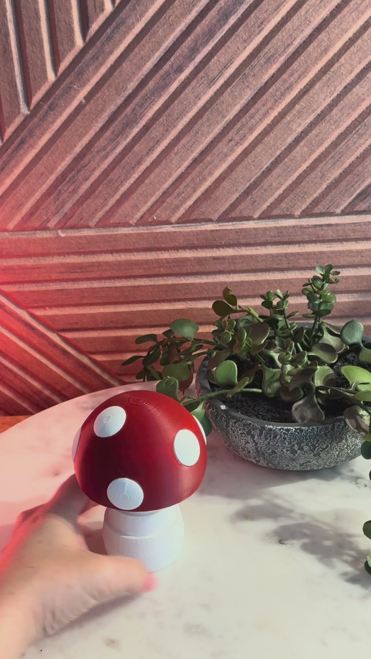 Forest Mushroom Buddy