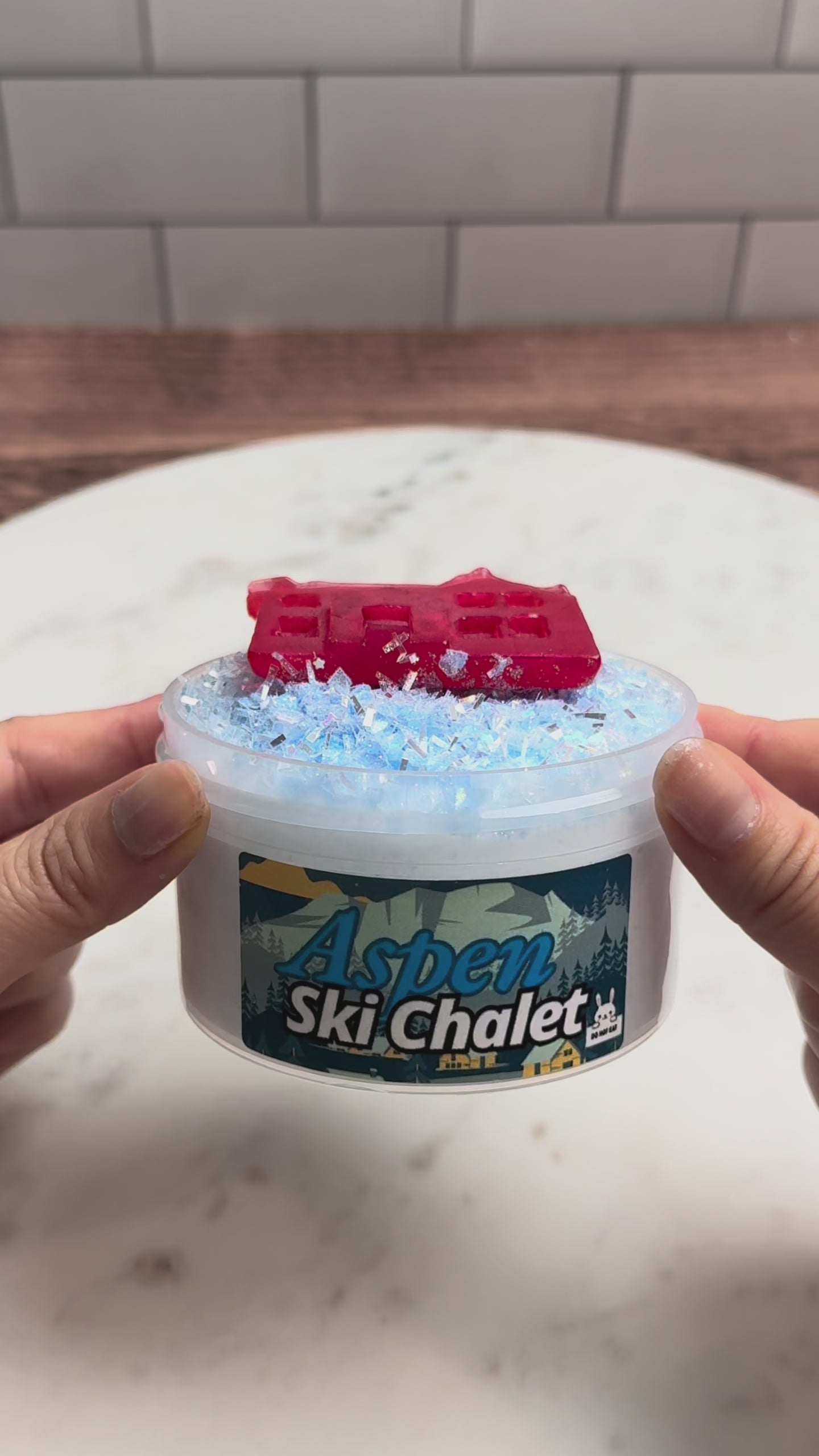 Aspen Ski Chalet + Squishy