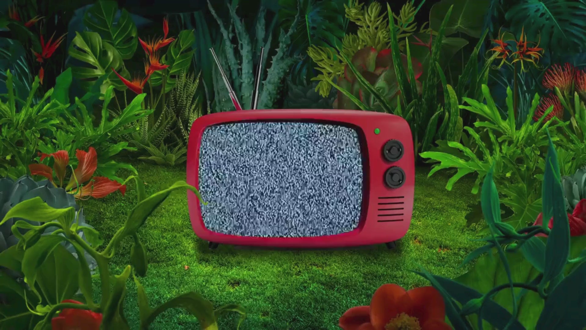 Load video: 