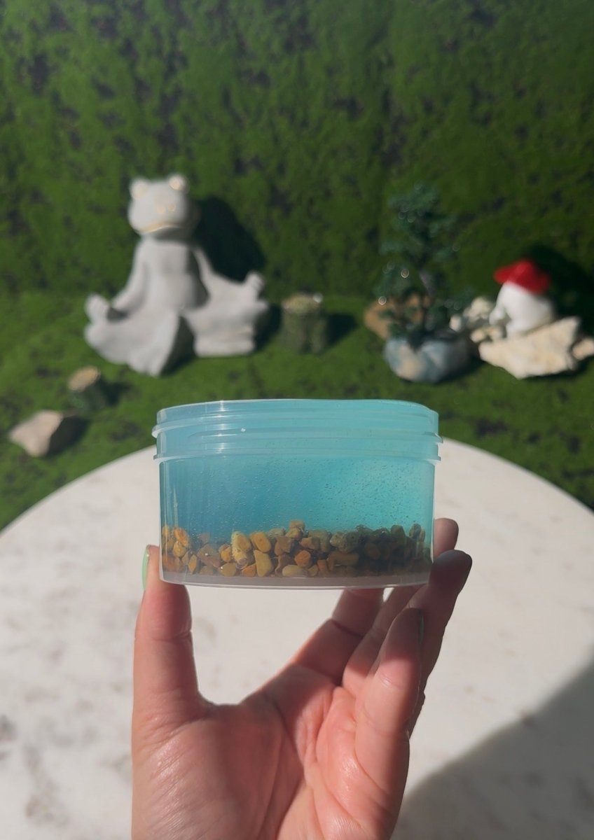 Skipping Stones - Mythical Mushbunny Slimes